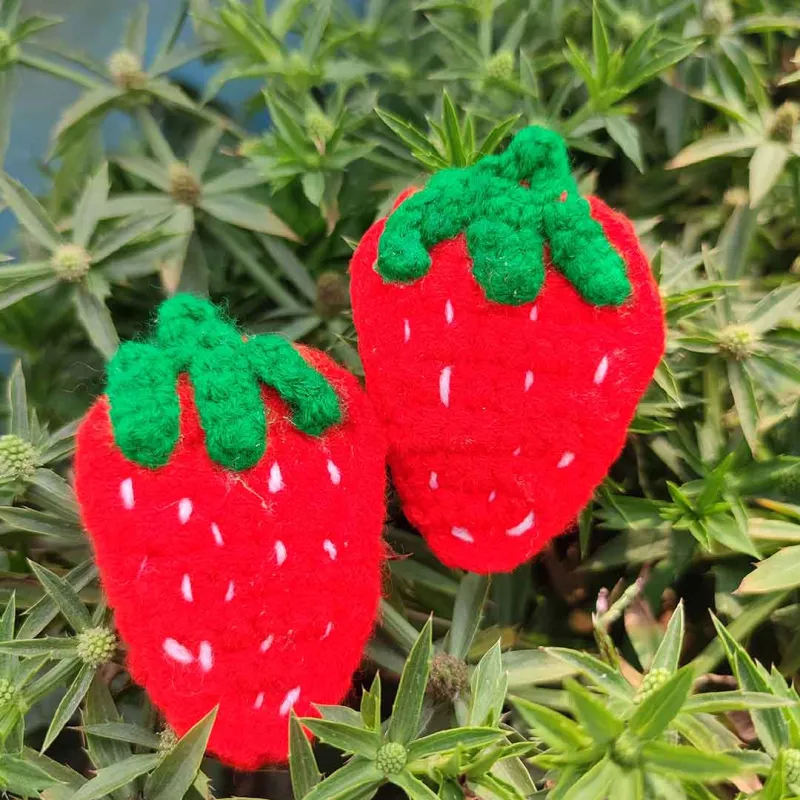 কোডঃ SB13; Handmade Crochet Strawberry Hair Clips (1 Pair) 🍓✨