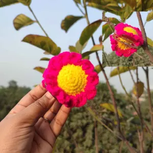 কোডঃ SFK34; Handmade Crochet Blossom Kakra Band/Punch Clip 🌸✨
